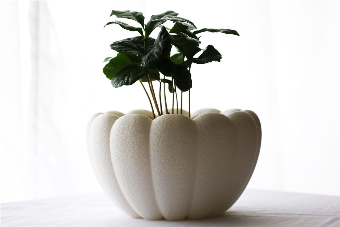 Airy Table Planter, macetero de mesa calado